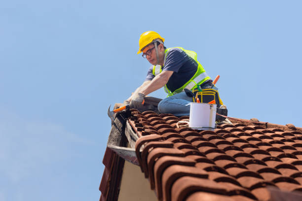 Best Roof Insulation Installation  in Winters, TX